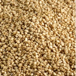 Quinoa France