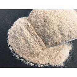 Psyllium