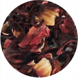 Fleur d’hibiscus