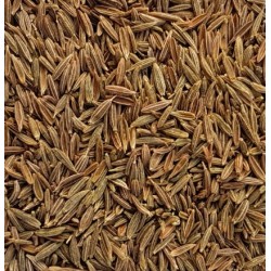 Cumin graines